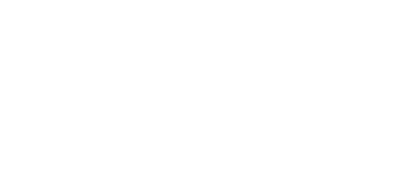 NiLa MediClean logo